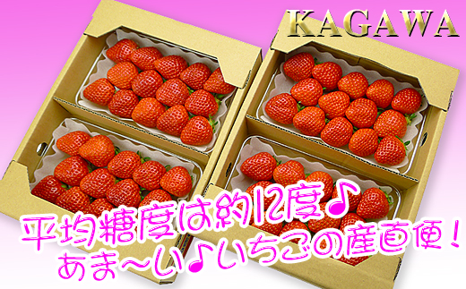 香川県オリジナル品種！さぬき姫いちご10パック