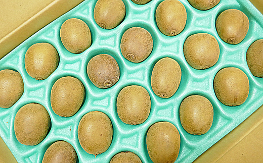 さぬきエンジェルスイート約2kg【期間限定】