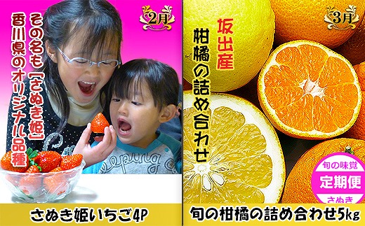坂出産のフルーツとさぬきの特産品の定期便6回【Bコース】