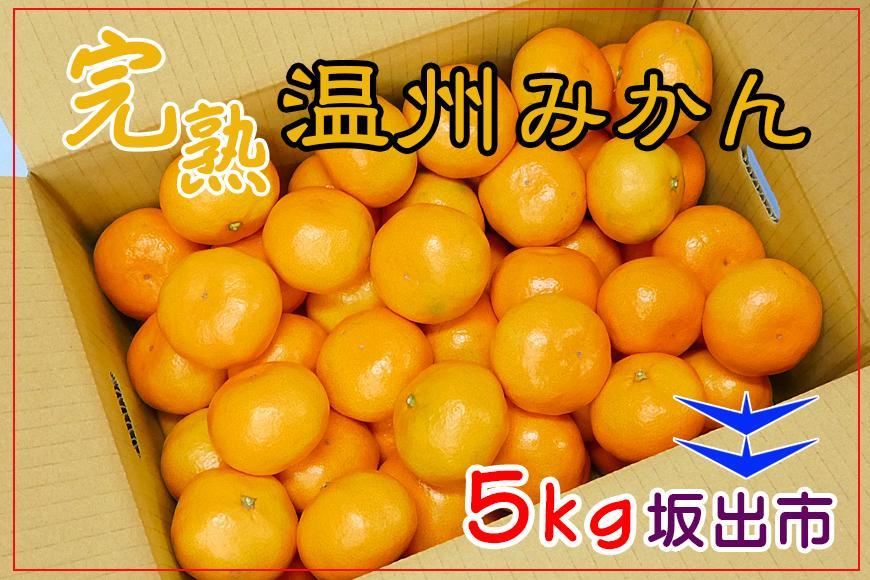 ≪先行受注≫温州みかん 香川産 約5kg ( S ～ Lサイズ ) ｜ みかん 味濃い