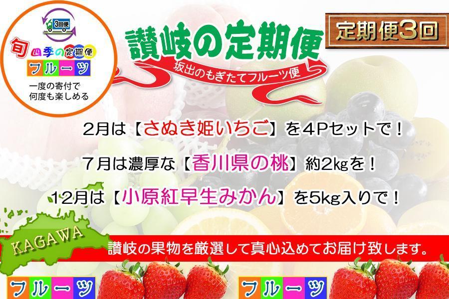【定期便3回Aコース】 フルーツ セット 定期便 ( いちご 約250g × 4パック & 桃 約2kg & みかん 約5kg × 3ヶ月 )  ｜産直あきんど 坂出産 創業100年