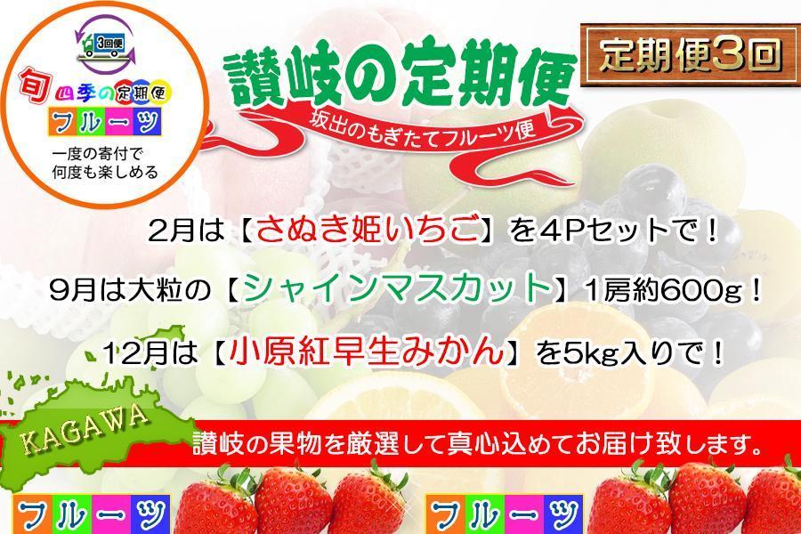 【定期便3回Bコース】 フルーツ セット 定期便 ( いちご 約250g × 4パック & シャインマスカット 1房 約600g以上 & みかん 約5kg × 3ヶ月 ) ｜産直あきんど 坂出産 創業100年