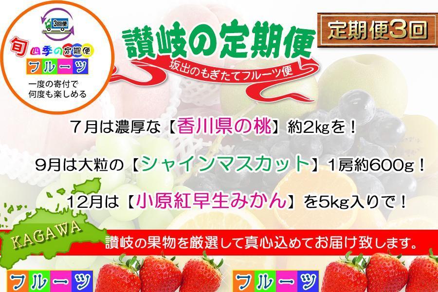 【定期便3回Dコース】 フルーツ セット 定期便 ( 桃 約2kg & シャインマスカット 1房 約600g以上 & みかん 5kg × 3ヶ月 ) ｜産直あきんど 坂出産 創業100年