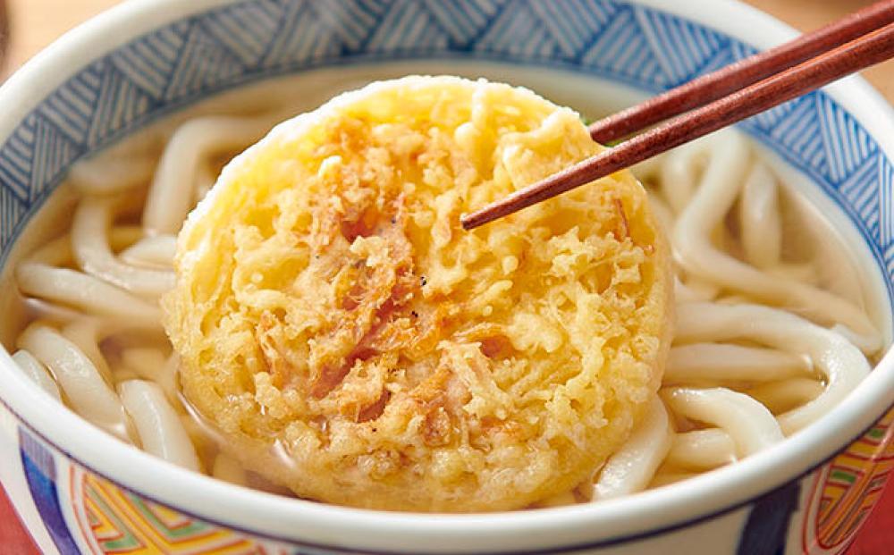 ※受付再開不可【お歳暮ギフト】ゆで天ぷらうどん10食（1袋：麺180g×10食）讃岐の本格派具材付き！｜うどん ゆで麺
