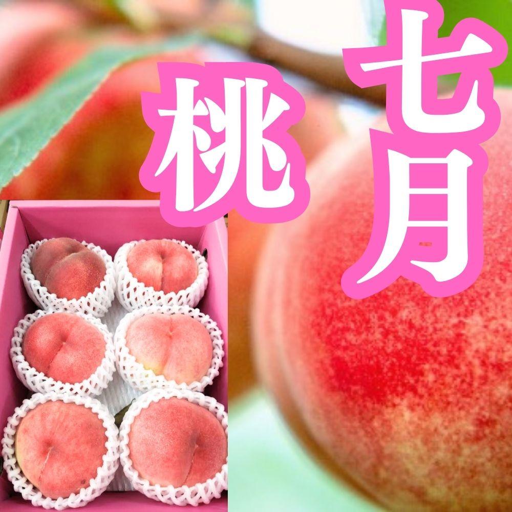 旬の果物詰め合わせ定期便10回