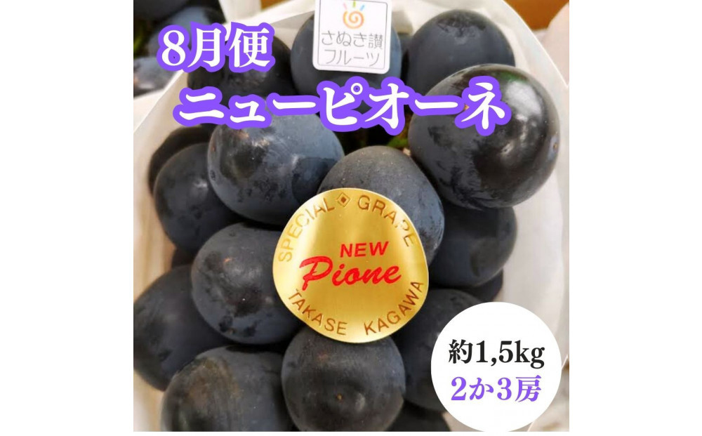 【2026年度先行予約】【定期便3回】夏の美味しい果物