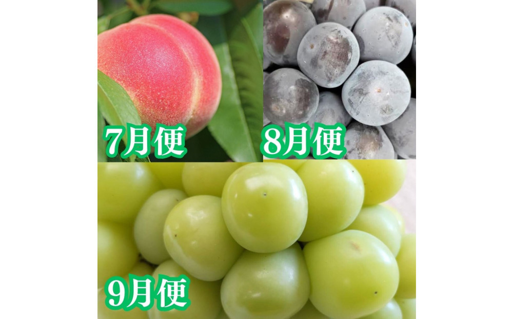 【定期便全7回】美味しい果物定期便　