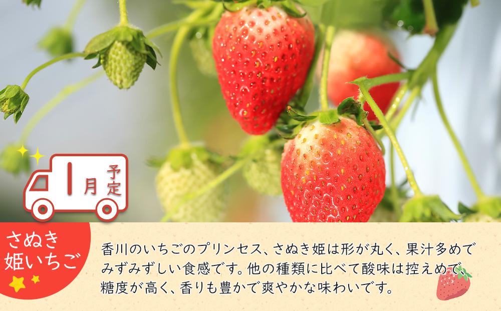 冬のいいとこどり定期便 【12月・1月・2月】全3回