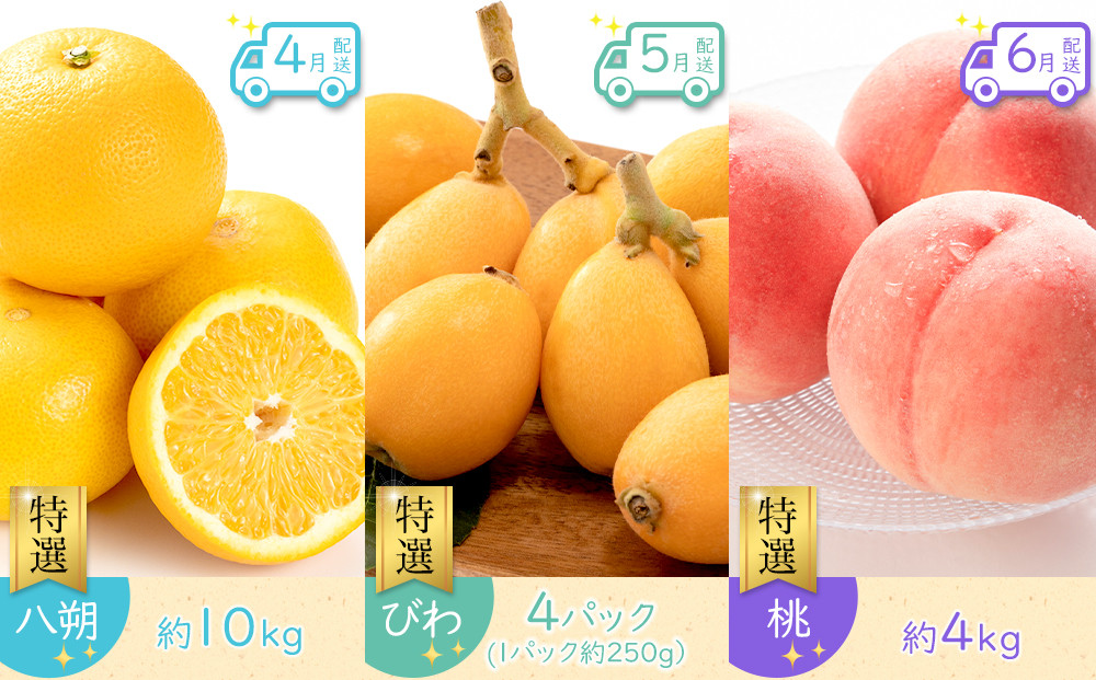 【全12回】《プレミアム等級選果実！》坂出市四季のオススメ！旬果実単品定期便♪