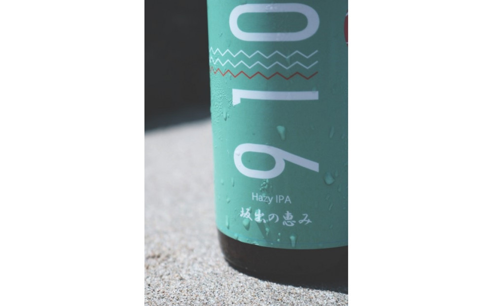発泡酒910HazyIPA 4本セット