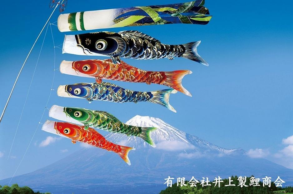 宝碧鯉　鯉のぼり5ｍセット
