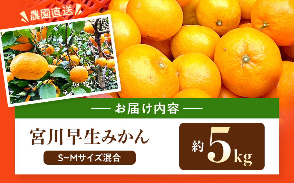 原田果樹農園直送！ 宮川早生みかん 約5kg（S~Mサイズ混合）数量限定