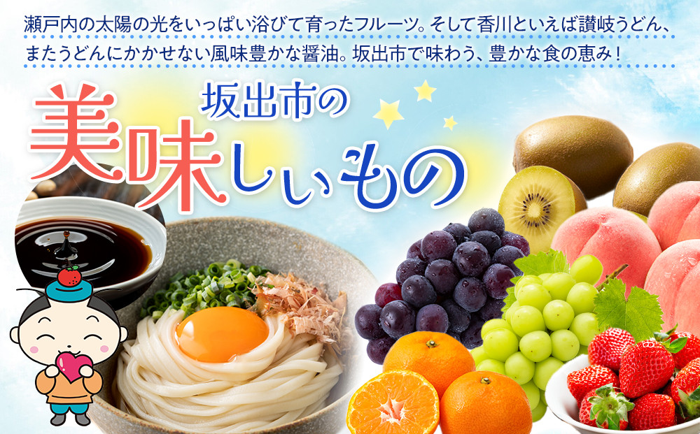 【全12回】坂出市　オールスター定期便