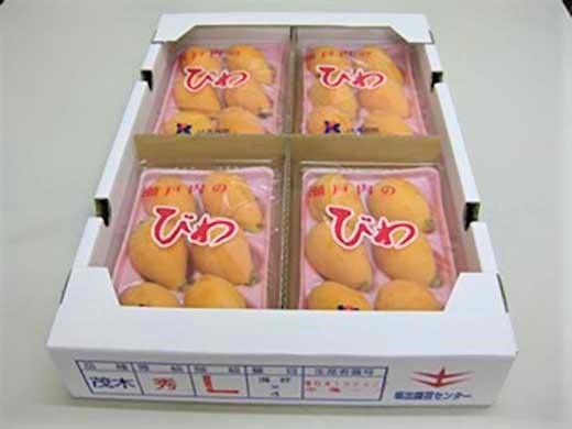 びわ 坂出市産 約1.8kg ( 4パック× 2箱 )｜初夏の味覚