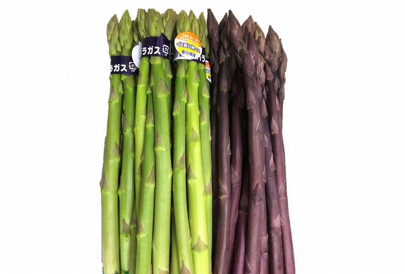 グリーンアスパラ & 紫アスパラ セット 約1.3kg ( グリーンアスパラガス約800g & 紫アスパラガス約500g ) 坂出市産｜アスパラガス