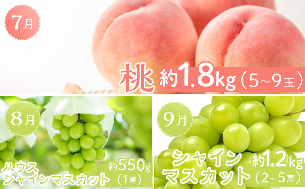 坂出市「旬のフルーツを味わう12回」定期便