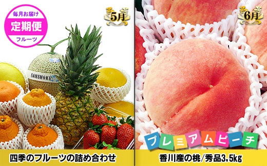 《ゴールドコースB》産直あきんど厳選フルーツ！魅惑の12回便