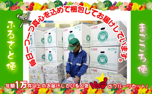 【定期便20回】創業100年 産直あきんど四季のフルーツの定期便《月2回×10ヶ月連続でお届け》