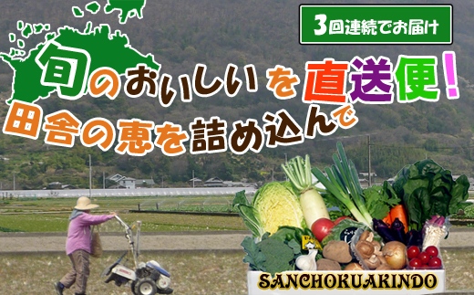 〈定期便3回〉創業100年！老舗の八百屋がチョイスした厳選やさいと旬の果物の詰め合わせ