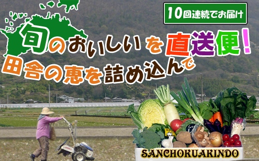 〈定期便10回〉創業100年！老舗の八百屋がチョイスした厳選やさいと旬の果物の詰め合わせ