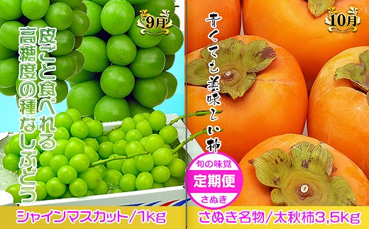 坂出産のフルーツとさぬきの特産品の定期便6回【Cコース】