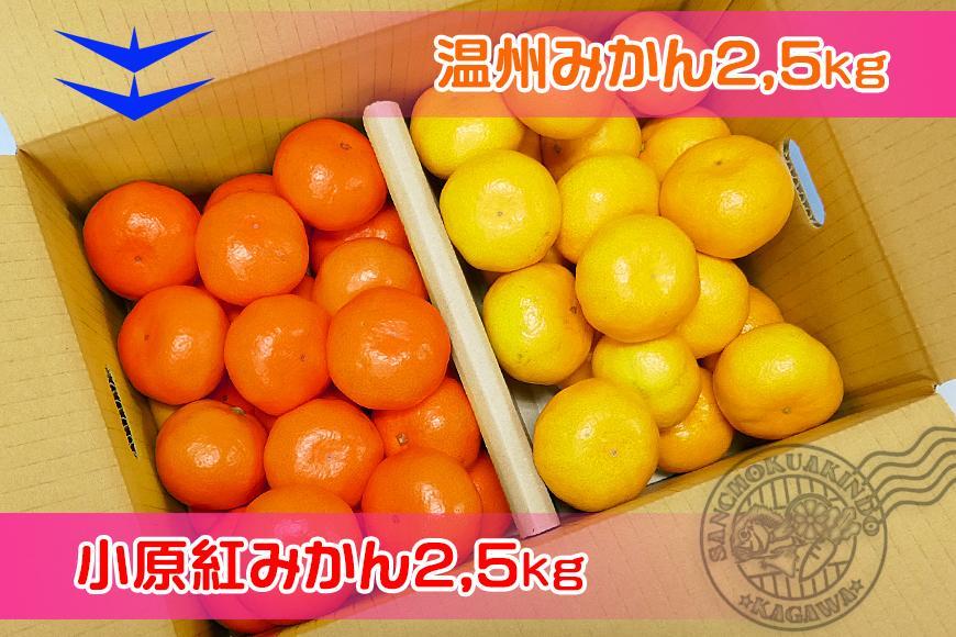 ≪先行受注≫小原紅早生 & 完熟温州 セット 約5kg ( 小原紅早生みかん約2.5kg & 完熟温州みかん約2.5kg ) S ～ Lサイズ ｜ みかん