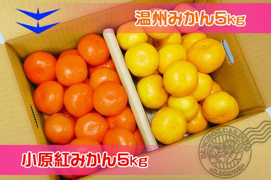 ≪先行受注≫小原紅早生 & 完熟温州 セット 約10kg ( 小原紅早生みかん約5kg & 完熟温州みかん約5kg ) S ～ Lサイズ ｜ みかん