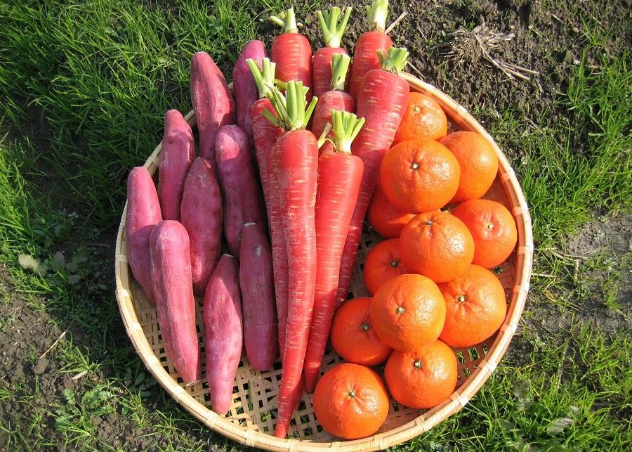 【定期便6回】野菜ソムリエの選ぶ旬のお野菜と果物セット