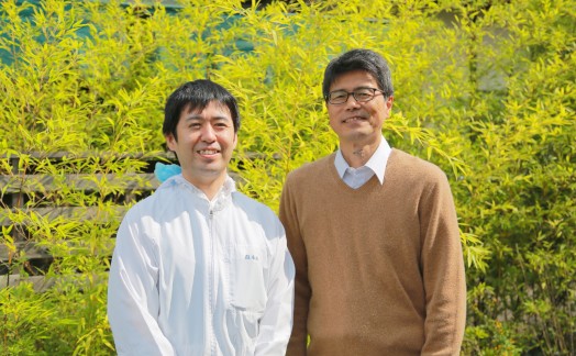 讃岐生うどん12食入（1袋3食入×4袋）＊鎌田醤油だし醤油付＊  池上製麺所監修！｜うどん 生麺