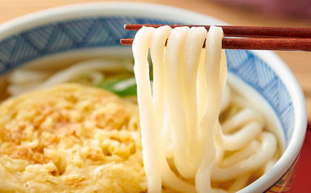 ※受付再開不可【お歳暮ギフト】ゆで天ぷらうどん10食（1袋：麺180g×10食）讃岐の本格派具材付き！｜うどん ゆで麺
