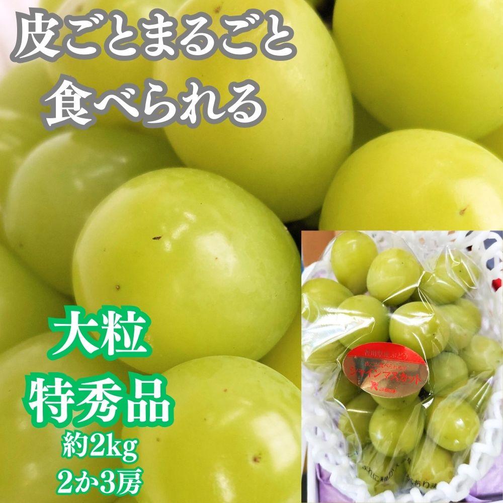 【定期便　4回コース】四季の美味しい果物詰め