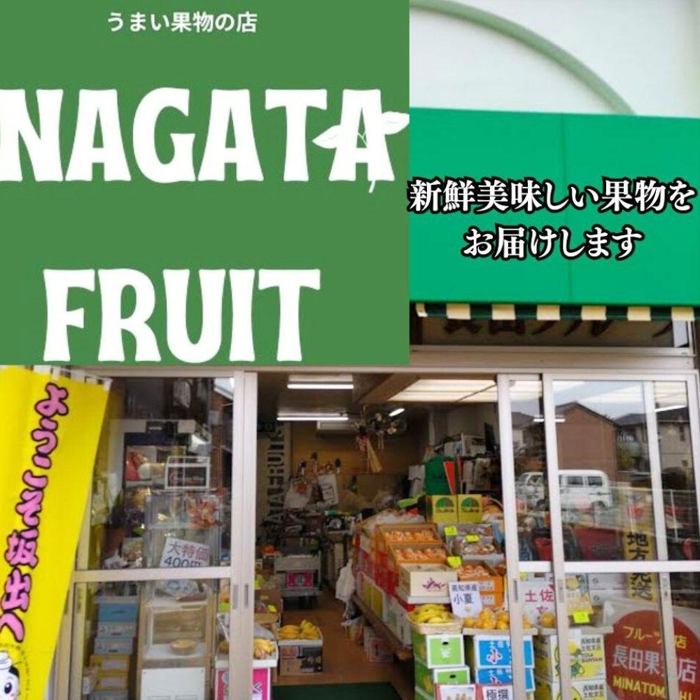 坂出特産　小原紅早生みかん約5kg(約50個） MまたはLサイズ