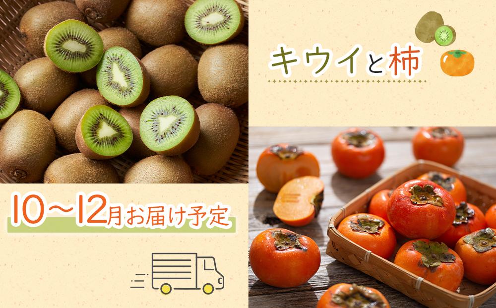 旬を見極めた厳選フルーツ詰め合わせ【半月セット】（3～5品種）1回便