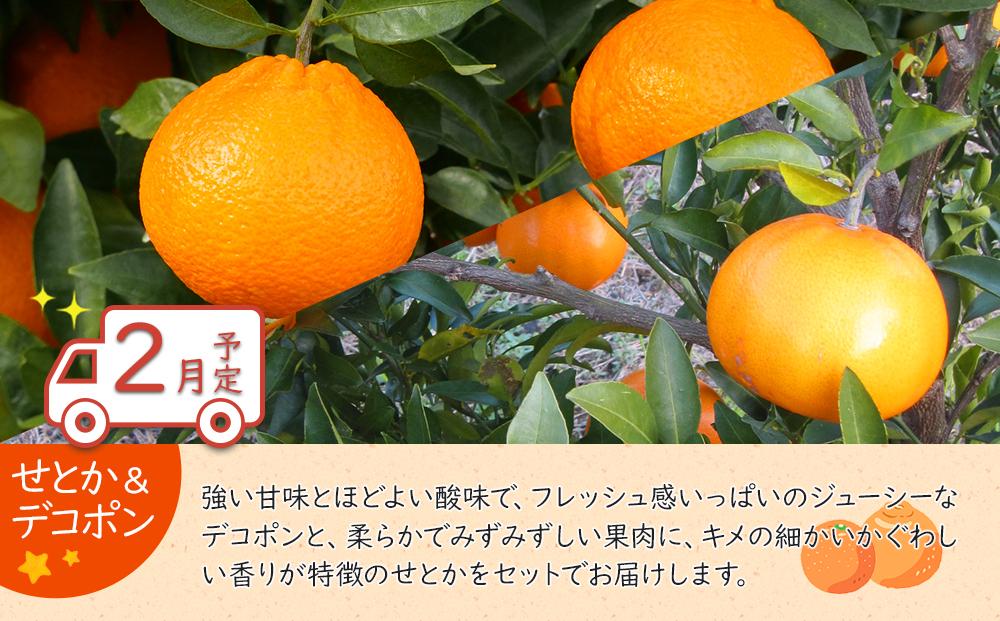 冬のいいとこどり定期便 【12月・1月・2月】全3回