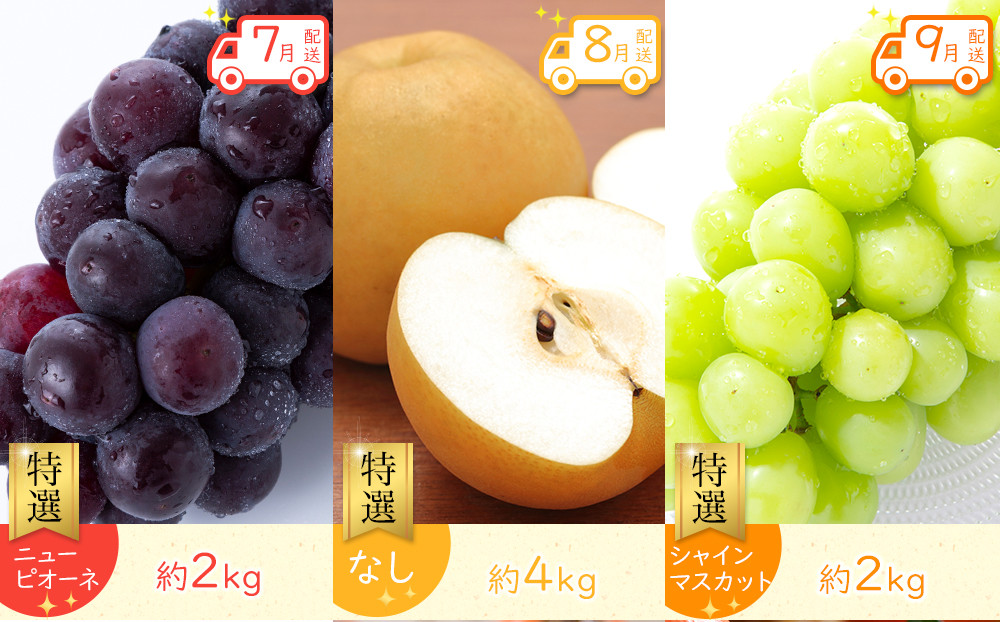 【全12回】《プレミアム等級選果実！》坂出市四季のオススメ！旬果実単品定期便♪