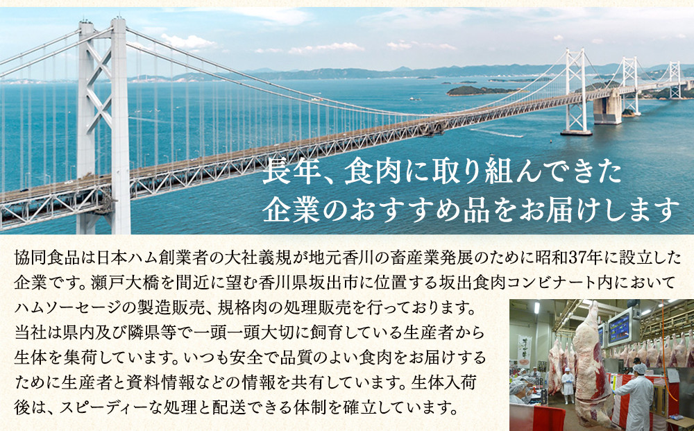 オリーブ豚モモ切り落とし　500g×3