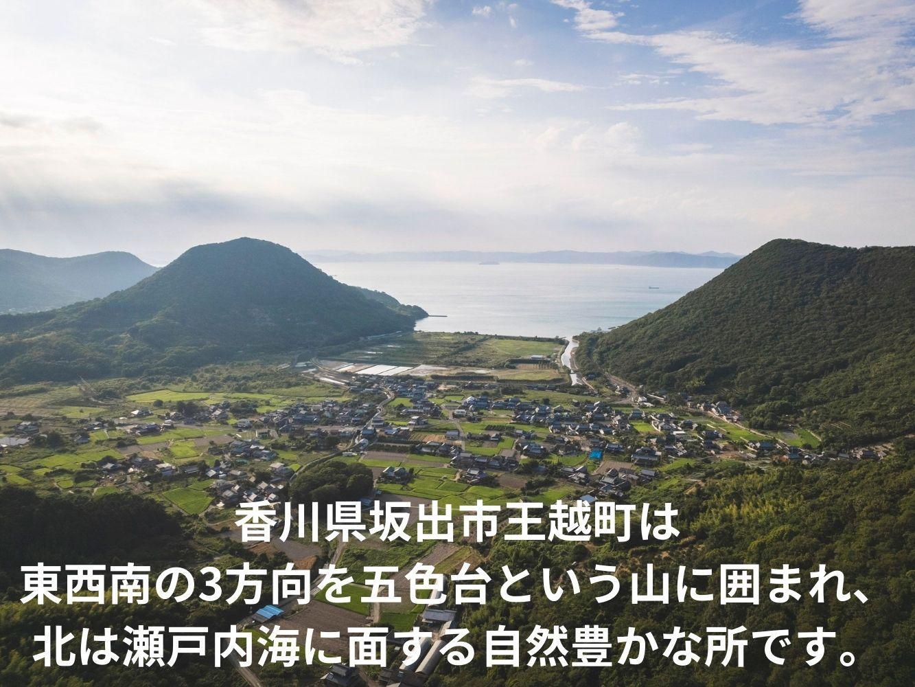 レモンスーン3本セット