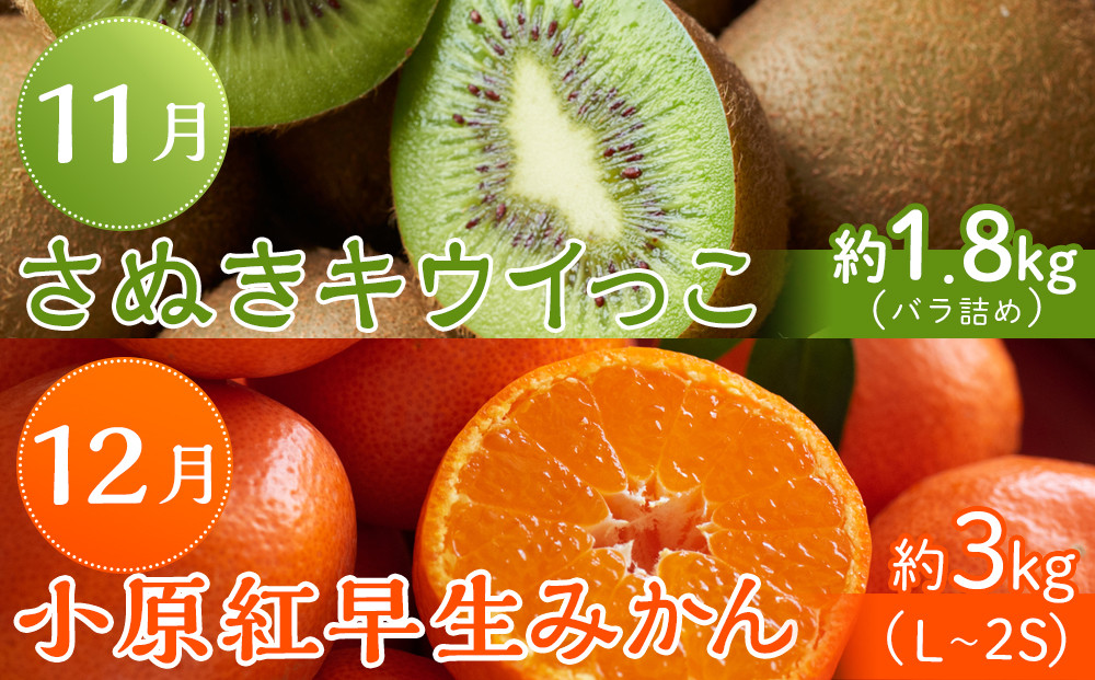 坂出市「旬のフルーツを味わう6回」定期便 【発送月：2月・4月・7月・9月・11月・12月】