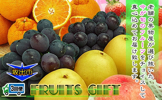 【定期便3回】創業100年 産直あきんど四季のフルーツの定期便《3ヶ月連続でお届け》