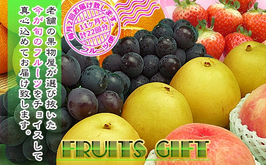 【定期便22回】創業100年 産直あきんど四季のフルーツの定期便《月2回×11ヶ月連続でお届け》