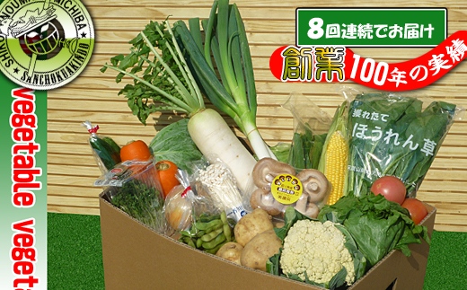 〈定期便8回〉創業100年！老舗の八百屋がチョイスした厳選やさいと旬の果物の詰め合わせ