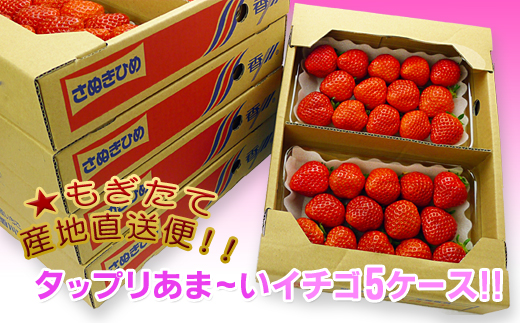 香川県オリジナル品種！さぬき姫いちご10パック