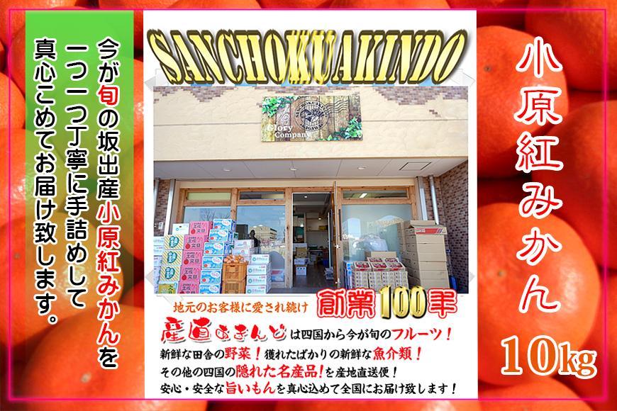 ≪先行受注≫小原紅早生みかん 香川県産 約10kg ( S ～ Lサイズ ) ｜ みかん