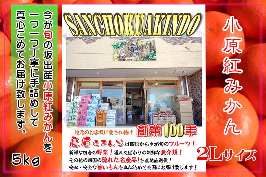 ≪先行受注≫小原紅早生みかん 香川県産 約5kg ( 2Lサイズ ) ｜ みかん