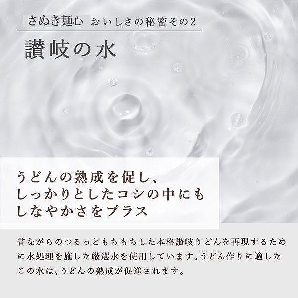 生うどん 麺のみ 9食（300g×3袋）平切麺｜うどん 生麺