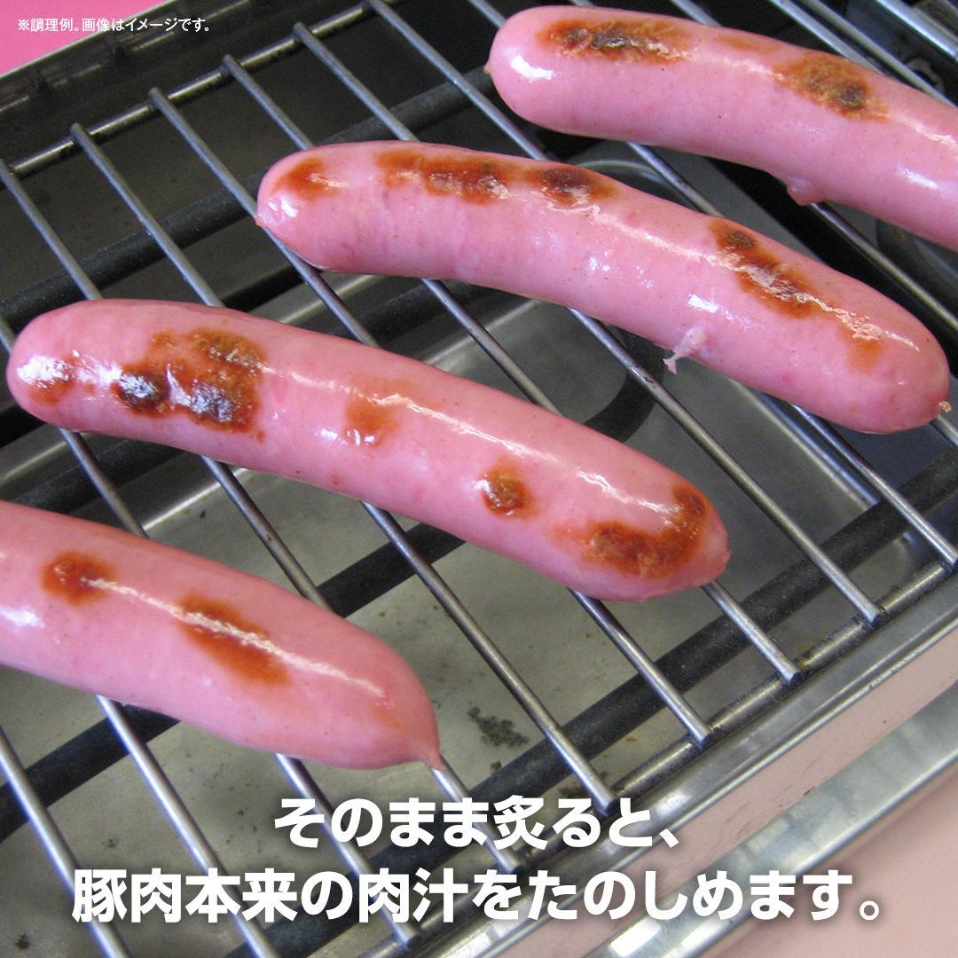 坂出市 限定 あらびきウインナー 500g x 10袋 計5kg 食品 あらびき ウインナー ソーセージ ウインナーソーセージ 冷凍  粗挽き 豚肉 国内製造 香川 四国 納税 返礼品 日本ハム お取り寄せグルメ 取り寄せ グルメ 加工品 定期便 おつまみ おかず 送料無料 ふるさと納税 BG1021