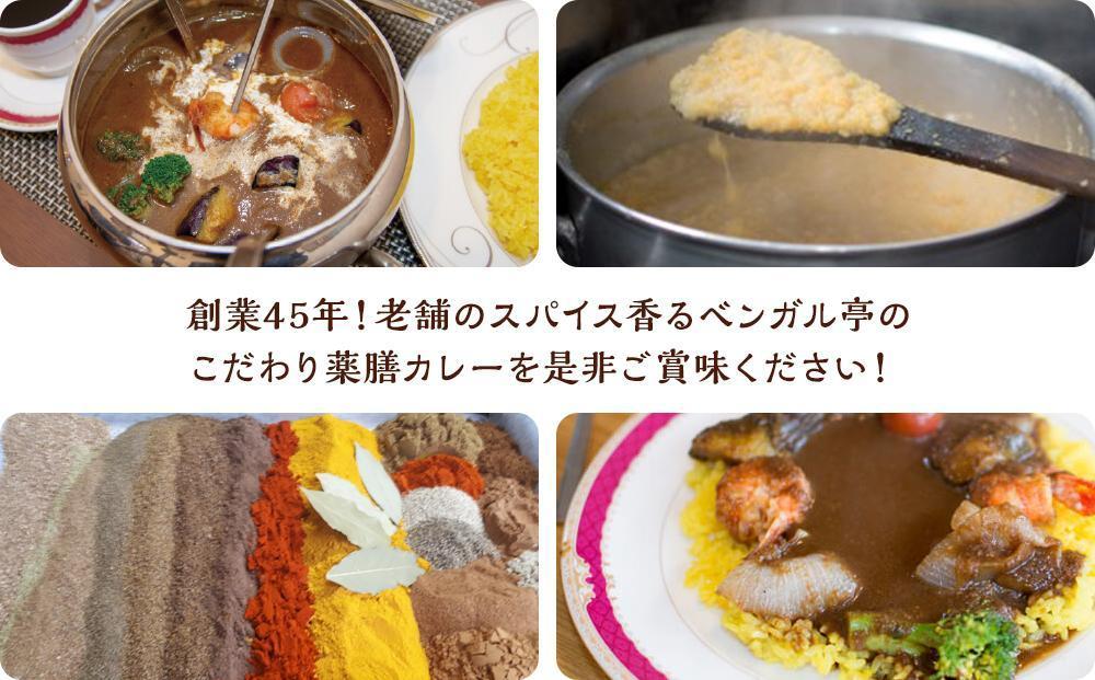 N ベンガル亭特製スパイスカレー！（スパイスソース・辛口）13袋