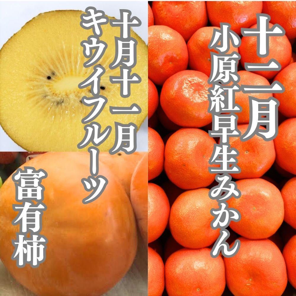 旬の果物詰め合わせ定期便10回