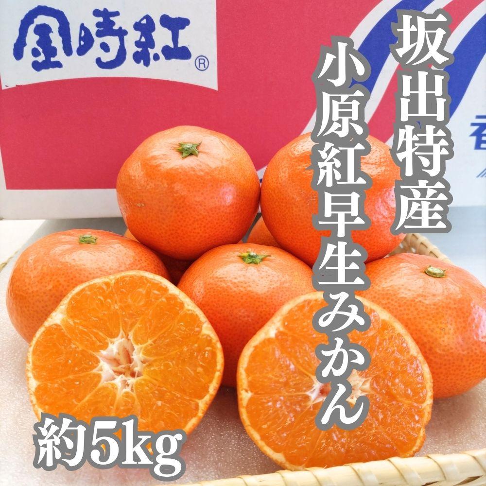 【定期便　4回コース】四季の美味しい果物詰め