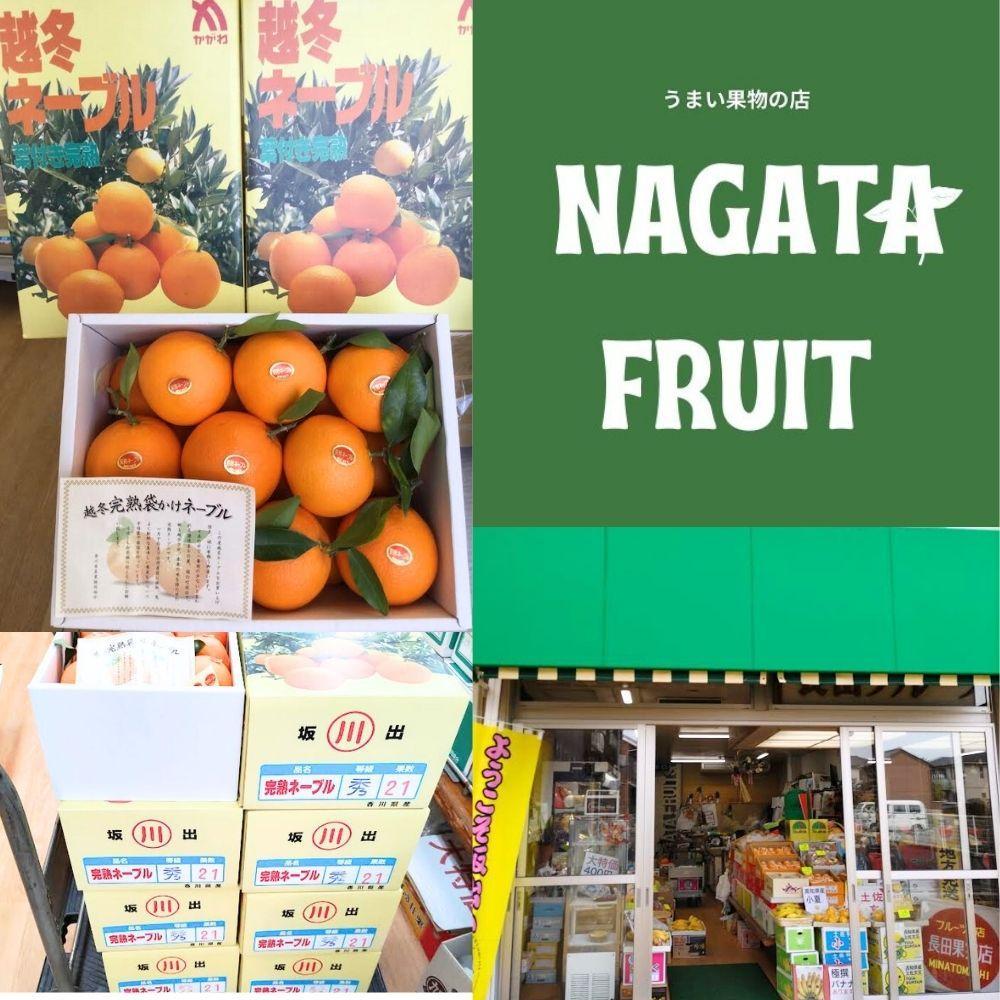 越冬完熟袋掛けネーブル 約5kg （15〜20個入り）